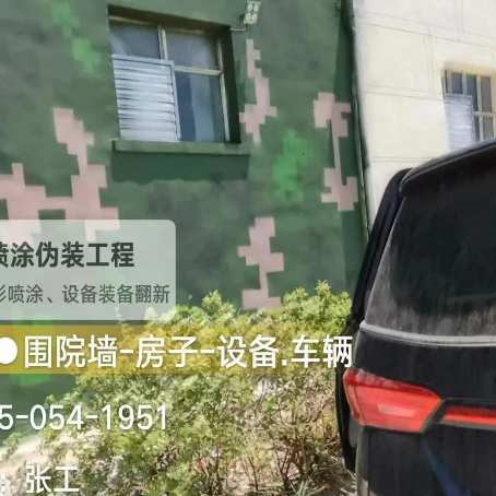 大渡口数码迷彩漆施工